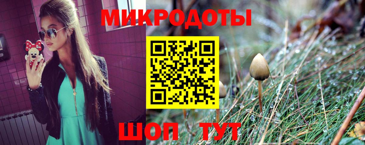 Псилоцибиновые грибы ЛСД Вологда