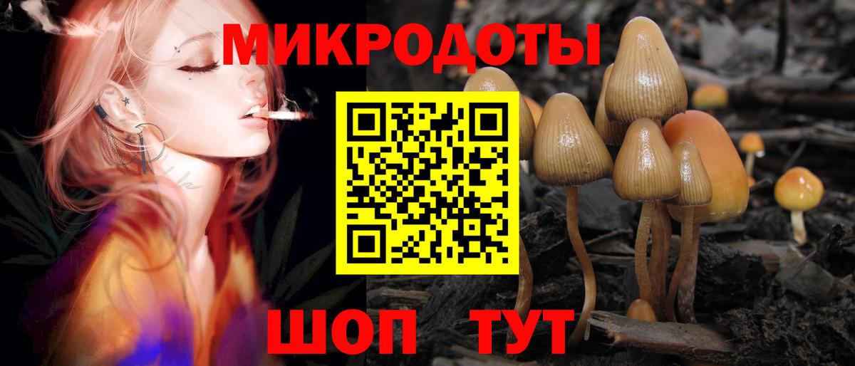 Псилоцибиновые грибы MAGIC MUSHROOMS  Вход с VPN  Вологда 