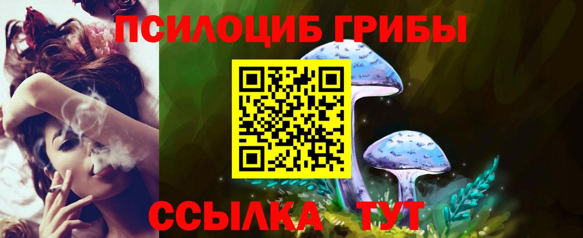 COCAIN Вологда